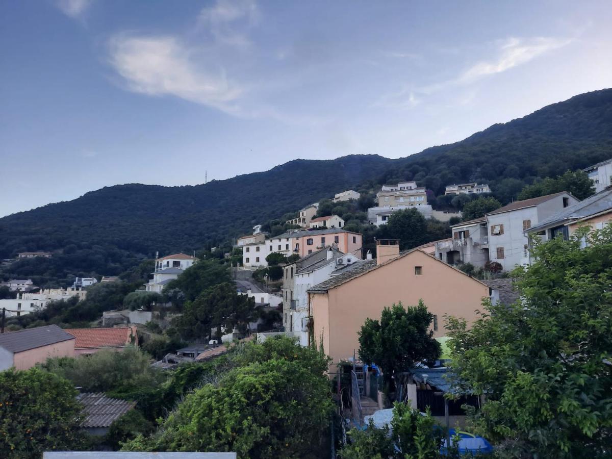 San-Martino-di-LotaJc 15アパートメント エクステリア 写真